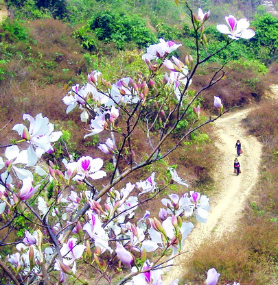 เยือนจังหวัดลายเจาทางทิศตะวันตกเฉียงเหนือเวียดนาม